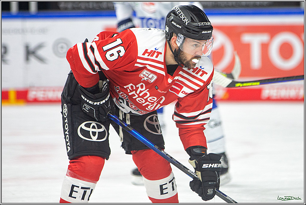 PENNY DEL; Koelner Haie- Schwenninger Wild Wings; Koeln, 06.12.2022